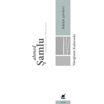 Bütün Şiirleri - Yüreğimin Kışlarında