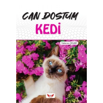 Can Dostum Kedi