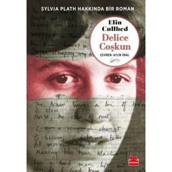 Delice Coşkun - Sylvia Plath Hakkında Bir Roman