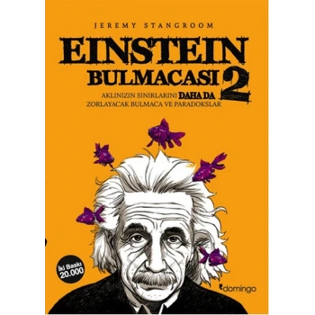 Einstein Bulmacası 2  Aklınızın Sınırlarını Zorlayacak Bulmaca ve Paradokslar