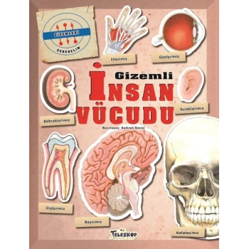 Gizemleri Öğrenelim - Gizemli İnsan Vücudu