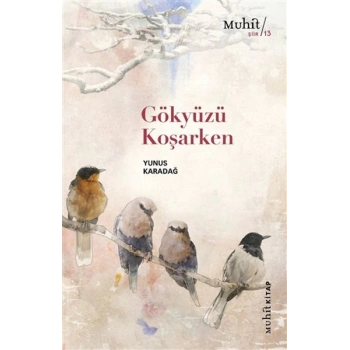 Gökyüzü Koşarken