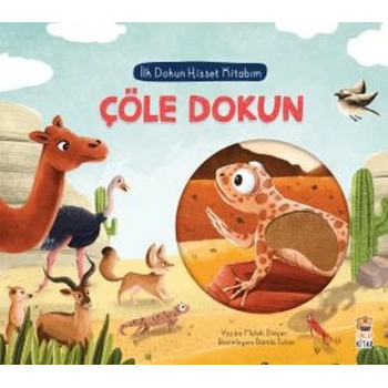 İlk Dokun Hisset Kitabım Çöle Dokun