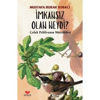 İmkansız Olan Neydi