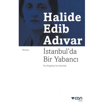 İstanbulda Bir Yabancı
