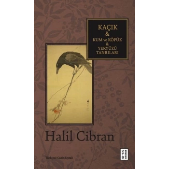 Kaçık & Kum ve Köpük & Yeryüzü Tanrıları