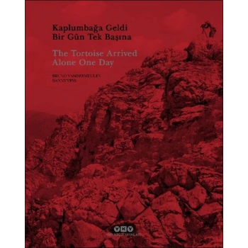 Kaplumbağa Geldi Bir Gün Tek Başına