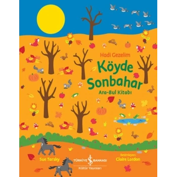 Köyde Sonbahar Ara-Bul Kitabı - Hadi Gezelim