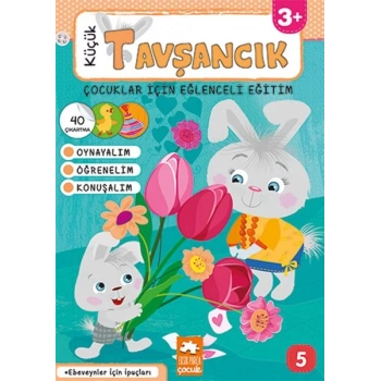 Küçük Tavşancık Serisi 5 - Küçük Tavşancık - Çocuklar İçin Eğlenceli Eğitim