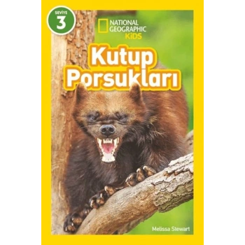 Kutup Porsukları - National Geographic Kids