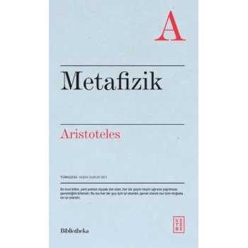 Metafizik