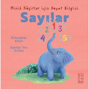 Minik Kâşifler için Hayat Bilgisi - Sayılar