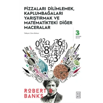 Pizzaları Dilimlemek, Kaplumbağaları Yarıştırmak ve Matematikteki Diğer Maceralar