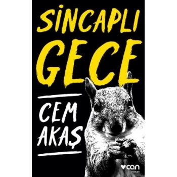 Sincaplı Gece