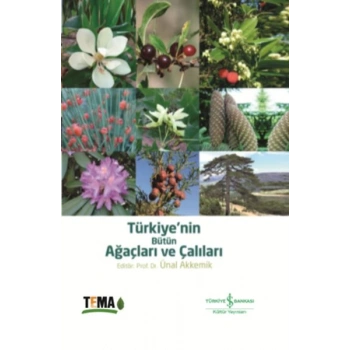 Türkiyenin Bütün Ağaçları ve Çalıları