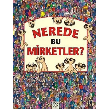 Ülkeleri Tanıyalım Mirketleri Bulalım