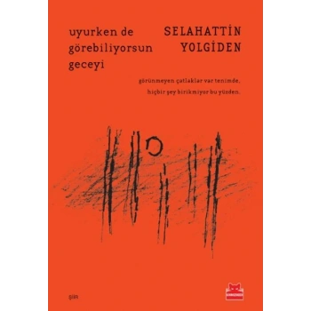 Uyurken de Görebiliyorsun Geceyi