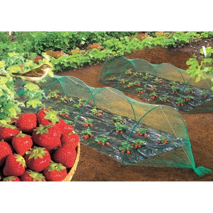 Kuştan koruma ağı intermas 120018 birdnet paket