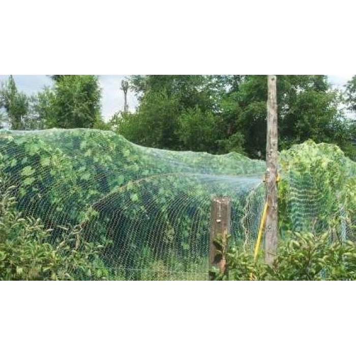 Kuştan koruma ağı intermas 120018 birdnet paket