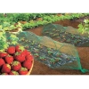 Kuştan koruma ağı intermas 120018 birdnet paket