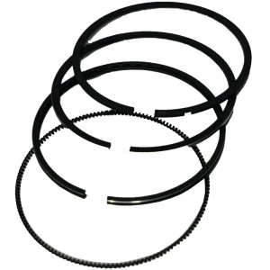 Palmera HP17805100 Segman Takımı 78mm - Palmera PA-HP80D, 178