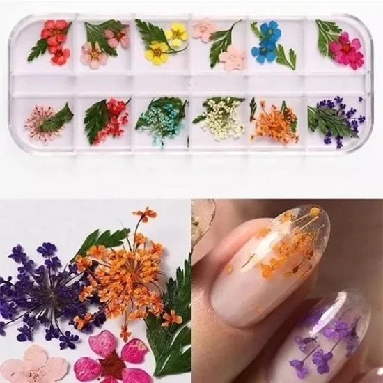 Nail Art Kuru Çiçek Seti 12li