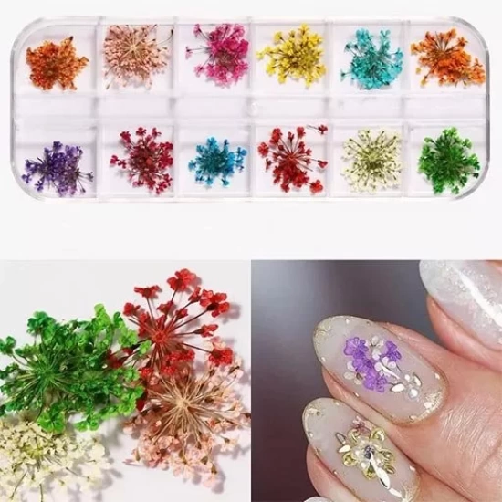 Nail Art Kuru Çiçek Seti 12li