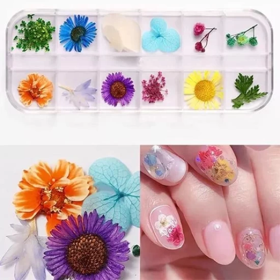 Nail Art Kuru Çiçek Seti 12li