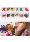 Nail Art Kuru Çiçek Seti 12li