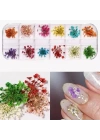 Nail Art Kuru Çiçek Seti 12li