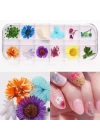 Nail Art Kuru Çiçek Seti 12li