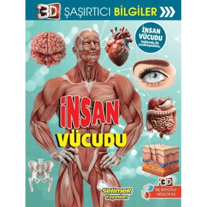 3D Şaşırtıcı Bilgiler - İnsan Vücudu
