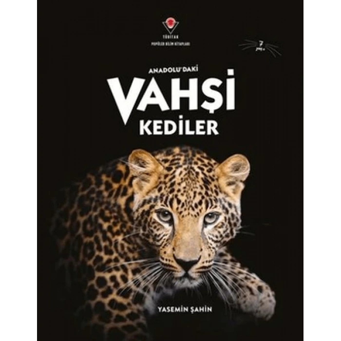 AnadoluDaki Vahşi Kediler