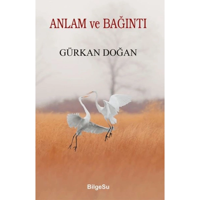 Anlam ve Bağıntı