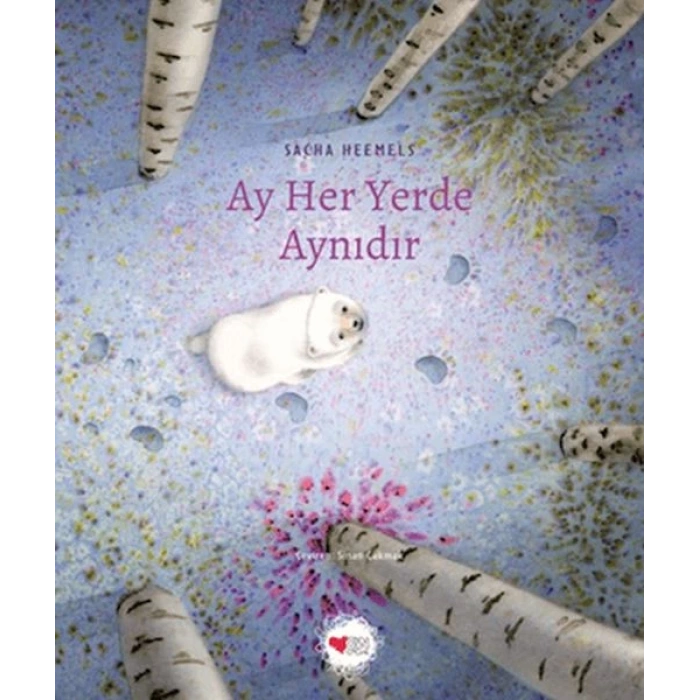 Ay Her Yerde Aynıdır