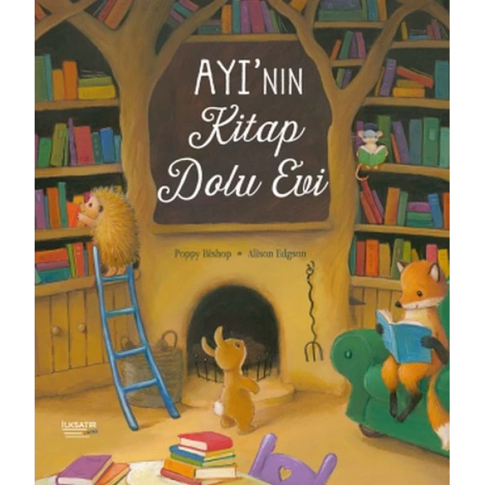 Ayı’nın Kitap Dolu Evi