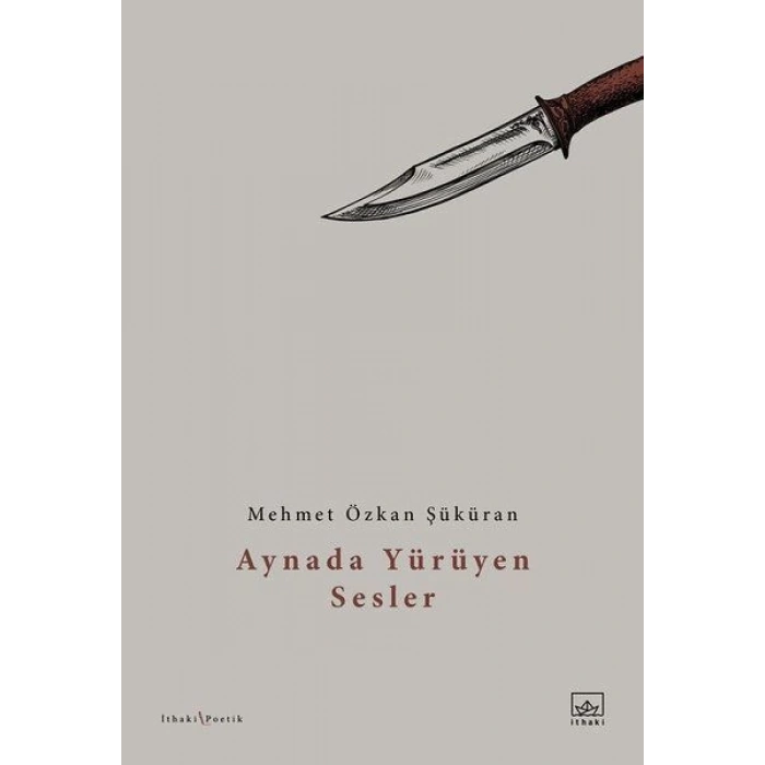 Aynada Yürüyen Sesler