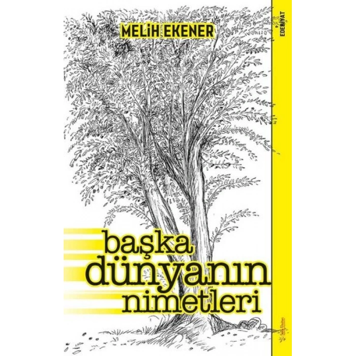 Başka Dünyanın Nimetleri