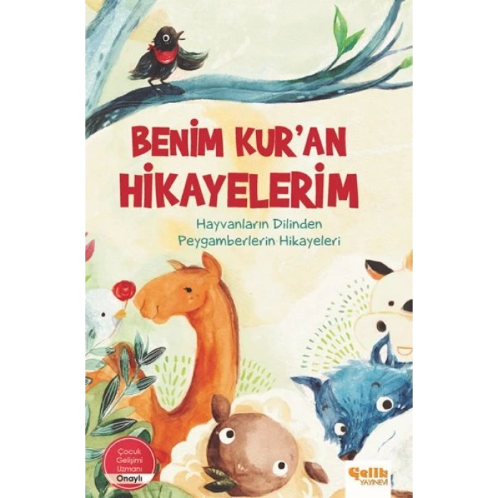 Benim Kuran Hikayelerim