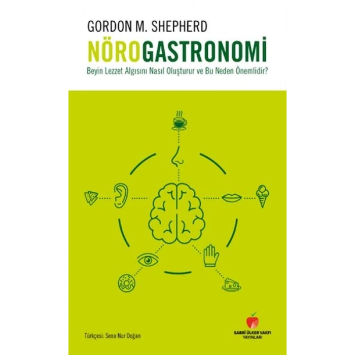 Beyin Lezzet Algısını Nasıl Oluşturur ve Bu Neden Önemlidir?