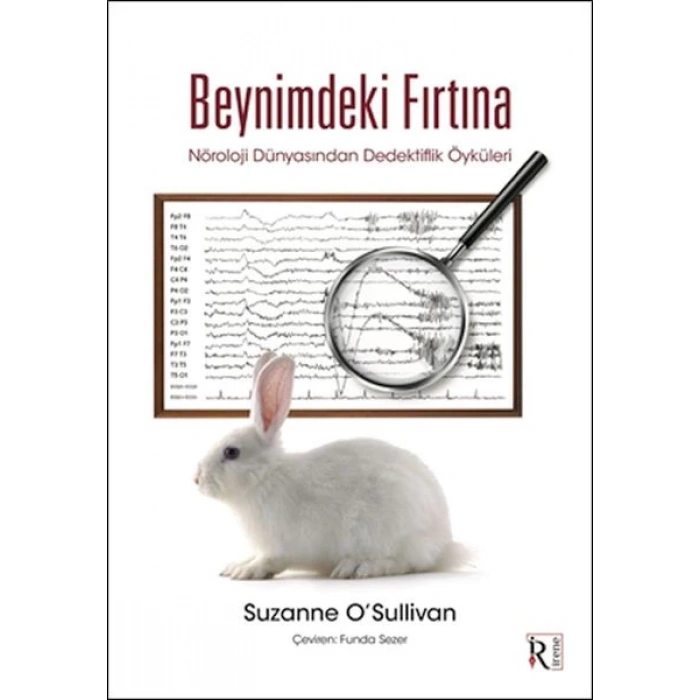 Beynimdeki Fırtına