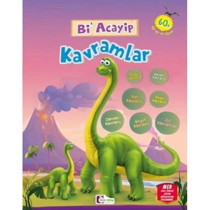 Bi Acayip Kavramlar