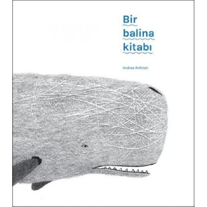 Bir Balina Kitabı