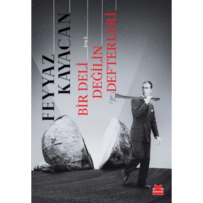 Bir Deli Değilin Defterleri