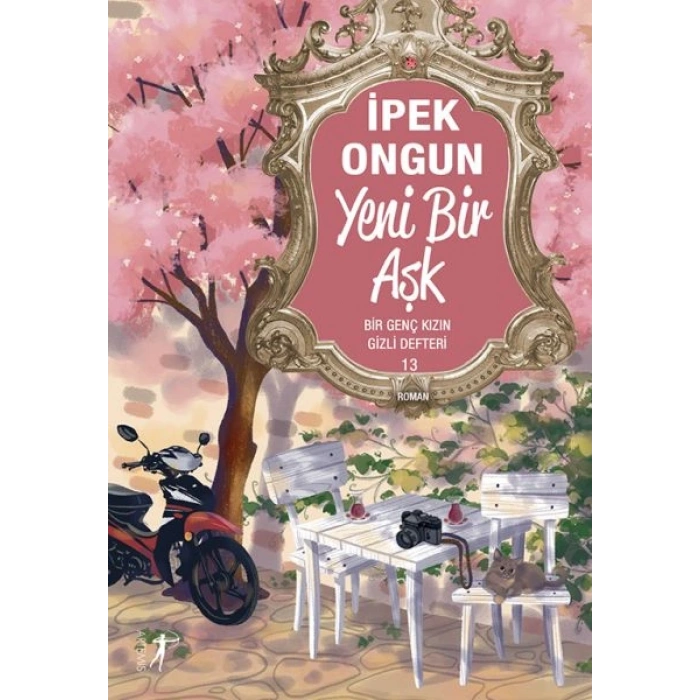 Bir Genç Kızın Gizli Defteri 13 Yeni Bir Aşk