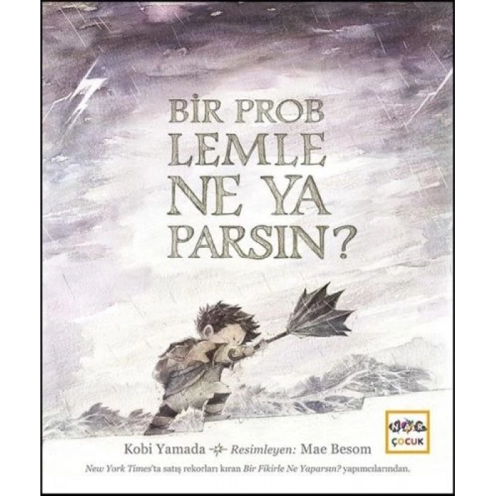 Bir Problemle Ne Yaparsın? (Ciltli)