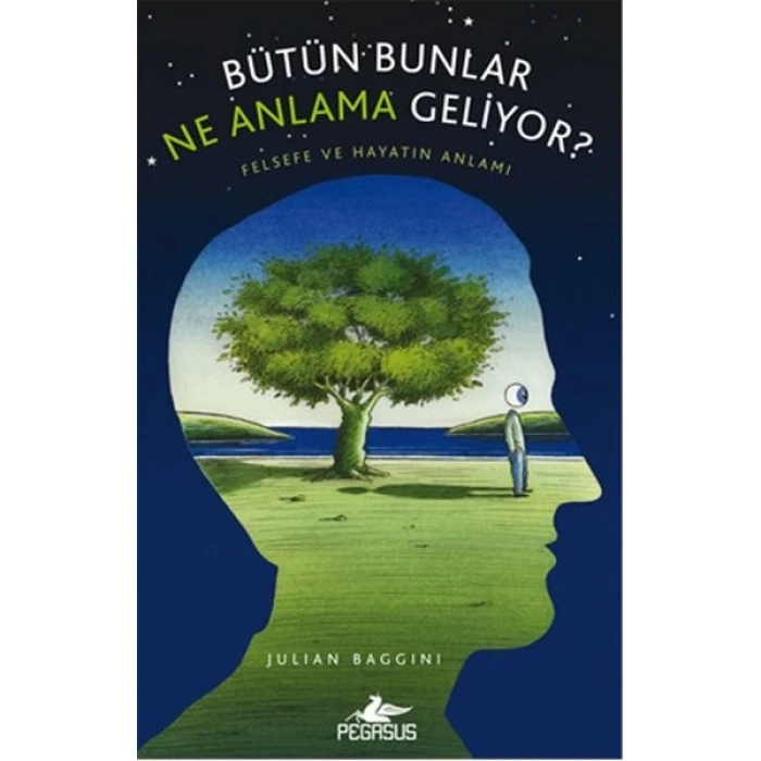 Bütün Bunlar Ne Anlama Geliyor?