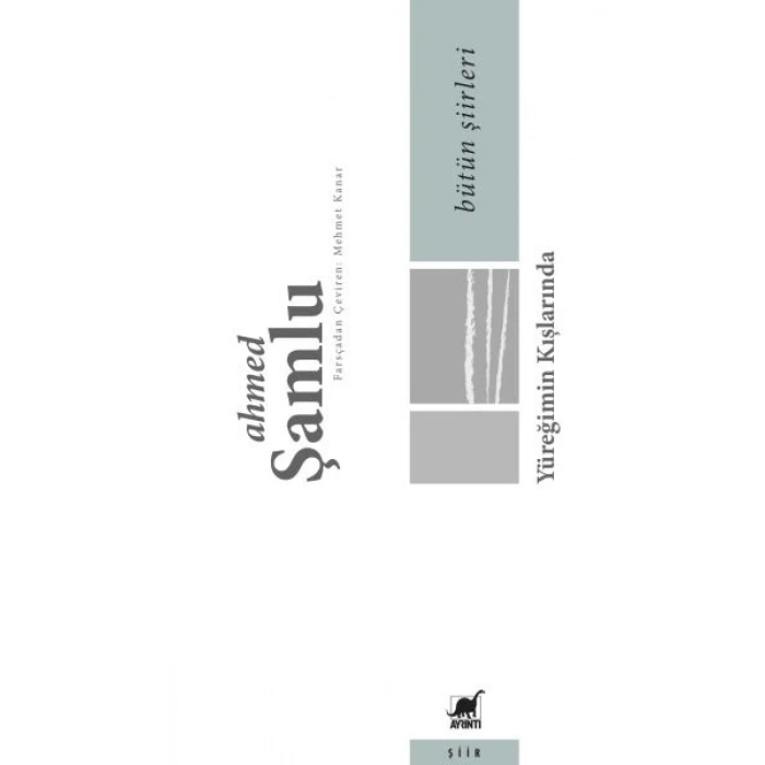 Bütün Şiirleri - Yüreğimin Kışlarında