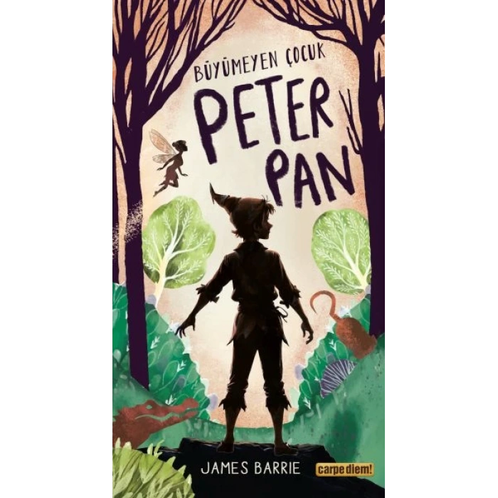 Büyümeyen Çocuk Peter Pan