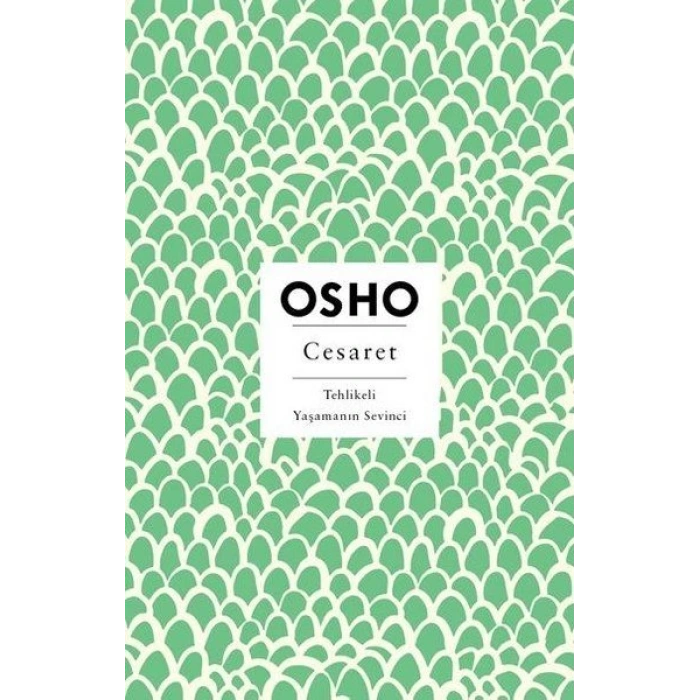 Cesaret - Tehlikeli Yaşamanın Sevinci